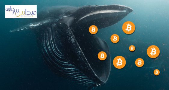 فروش 140000 بیت کوین توسط نهنگ ها در یک ماه گذشته